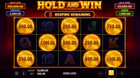 Як влаштована механіка Hold and Win в ігрових автоматах