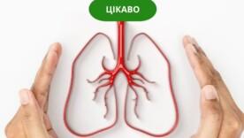 Какие нутриенты важны для здоровья легких? Какие нутриенты важны для здоровья легких?