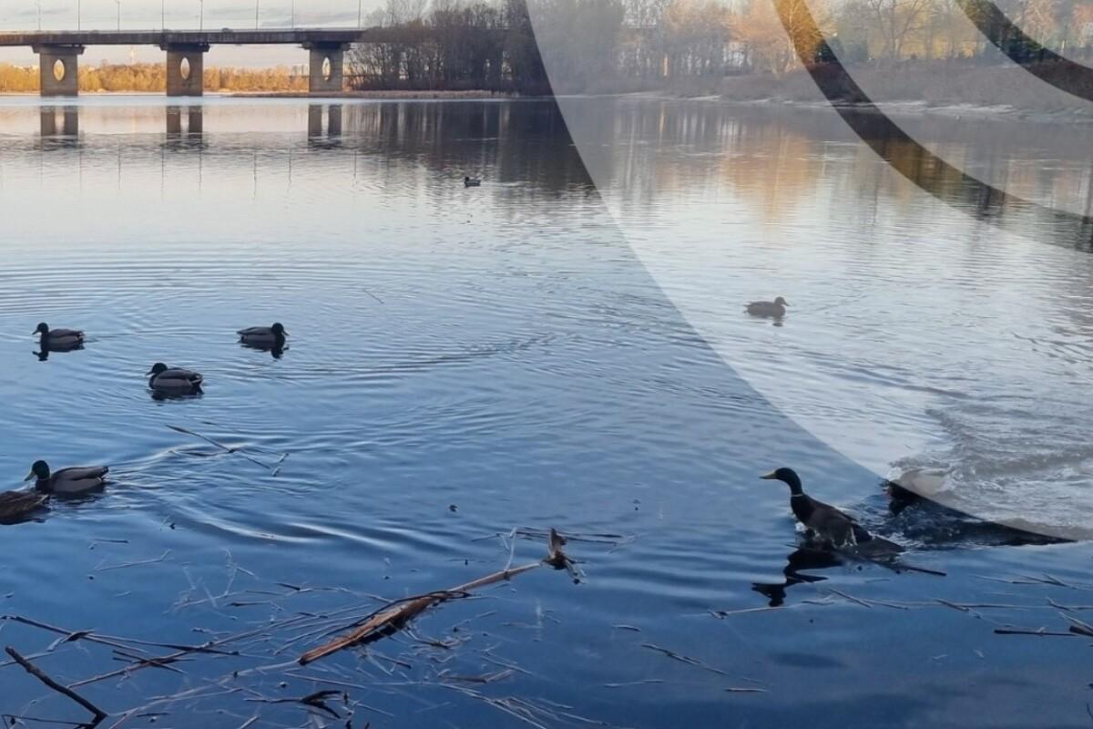 21-го березня впродовж дня максимальна температура повітря становитиме +10+14 градусів 21-го березня впродовж дня максимальна температура повітря становитиме +10+14 градусів