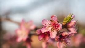 Какие праздники отмечают 24 марта / Фото: wirestock/Freepik Этот день в истории – 24 марта: какие праздники отмечают сегодня