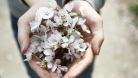 День ангела 28 марта/Фото: Unsplash День ангела 28 марта: кого сегодня поздравлять с именинами