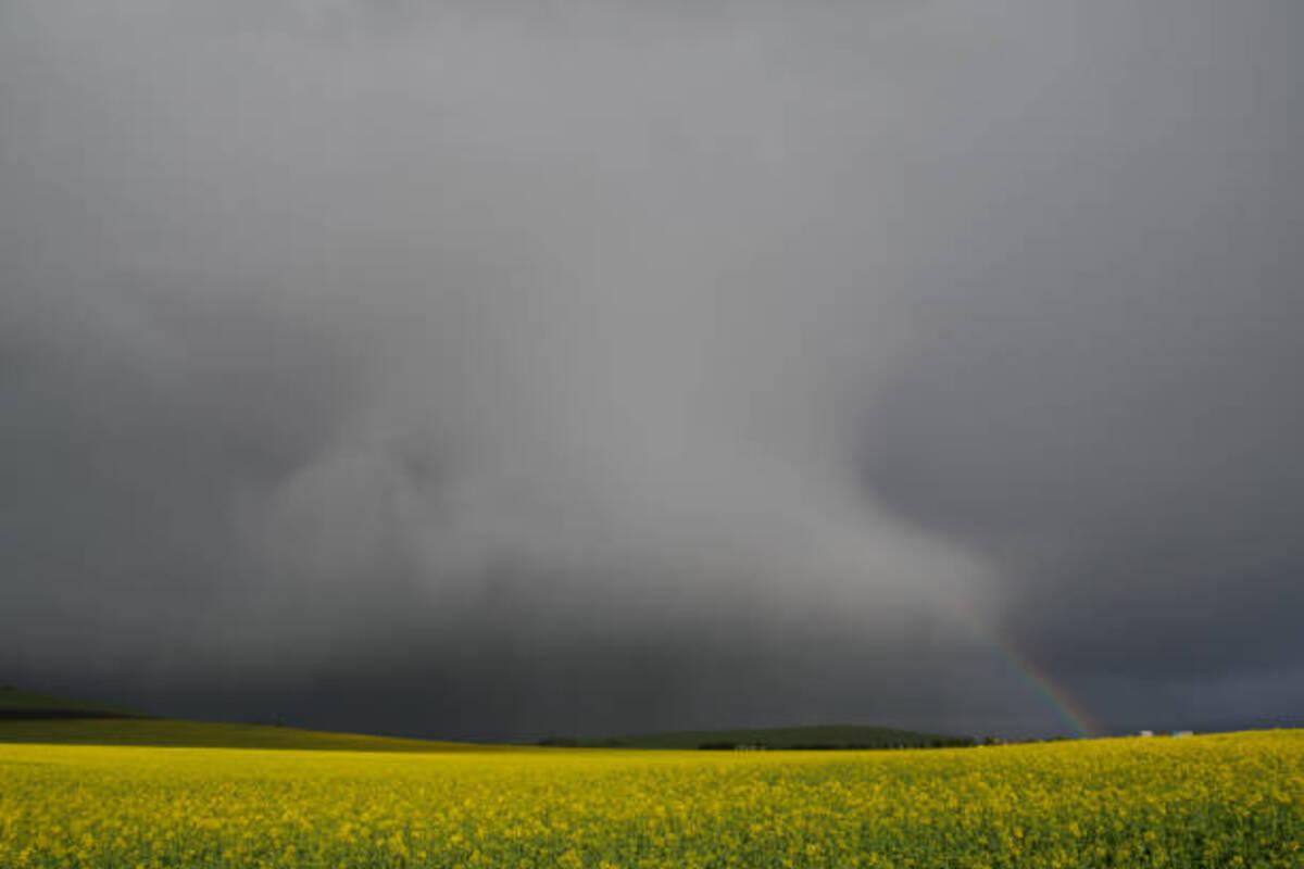 Огляд погоди 5 квітня по Київщині та Києві