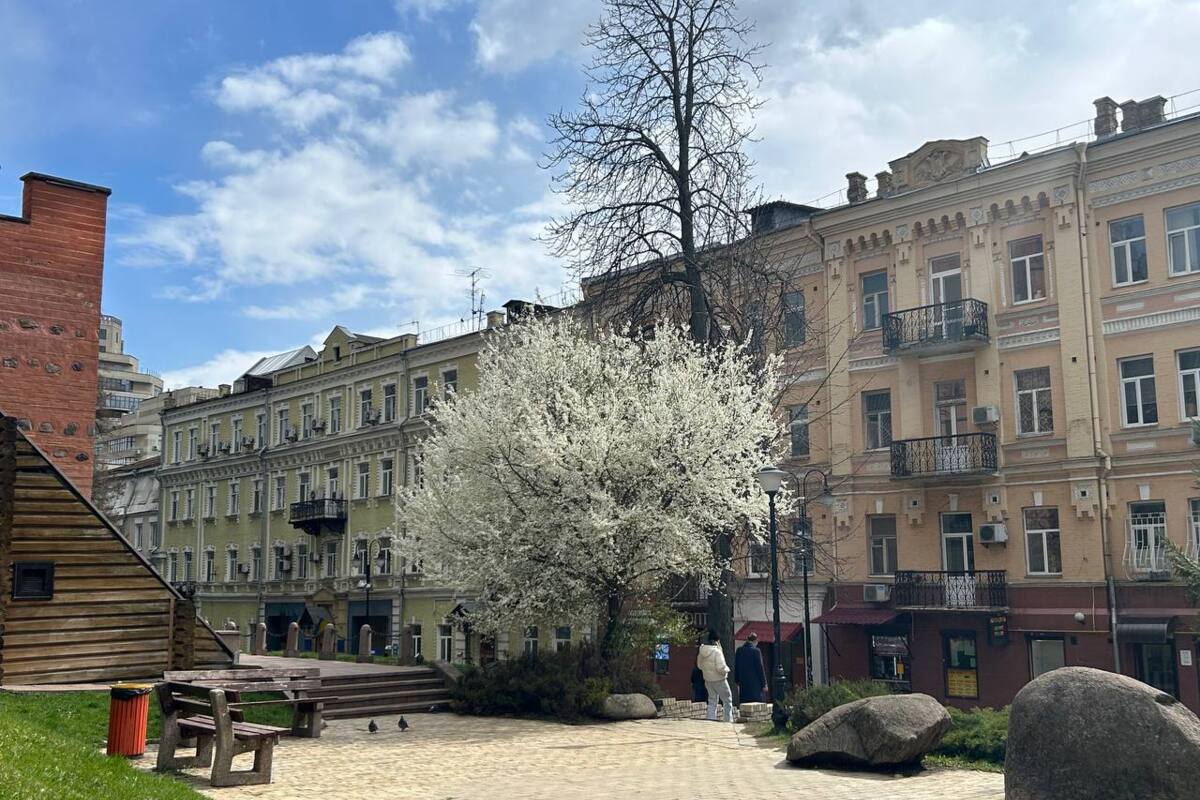 На Вербное воскресенье в Украине ожидаются солнечные +10+15 градусов. Предварительно, на Пасху будет тепло, +14+20 градусов