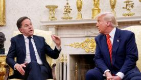 Трамп пропонує мир через зустріч з путіним, НАТО критикує рівень делегації рф: що з переговорами/Фото: Getty Images НАТО критикує рівень делегації рф у Стамбулі, Трамп заявляє про провал переговорів ще до їх початку
