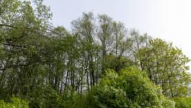 Сірий понеділок на Київщині: чи втримається сонце серед хмар/Фото: istock Сірий понеділок на Київщині: чи втримається сонце серед хмар