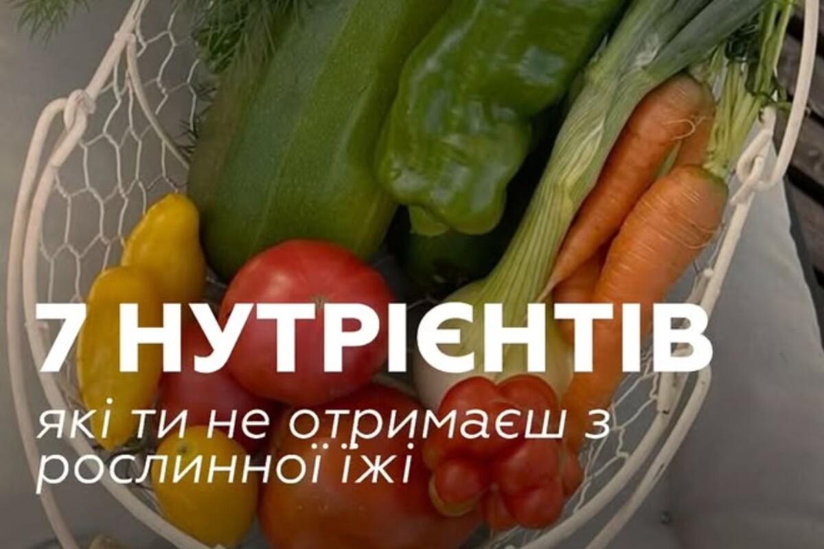 Растительный рацион без пробелов: что нужно знать для полноценного питания Растительный рацион без пробелов: что нужно знать для полноценного питания