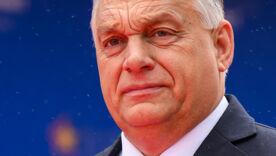 З мечем на Орбана: Угорця, що погрожував прем'єру, взяли під варту/Фото: Getty Images "Відрубаю голову": угорцю загрожує увʼязнення за погрози Орбану в соцмережах