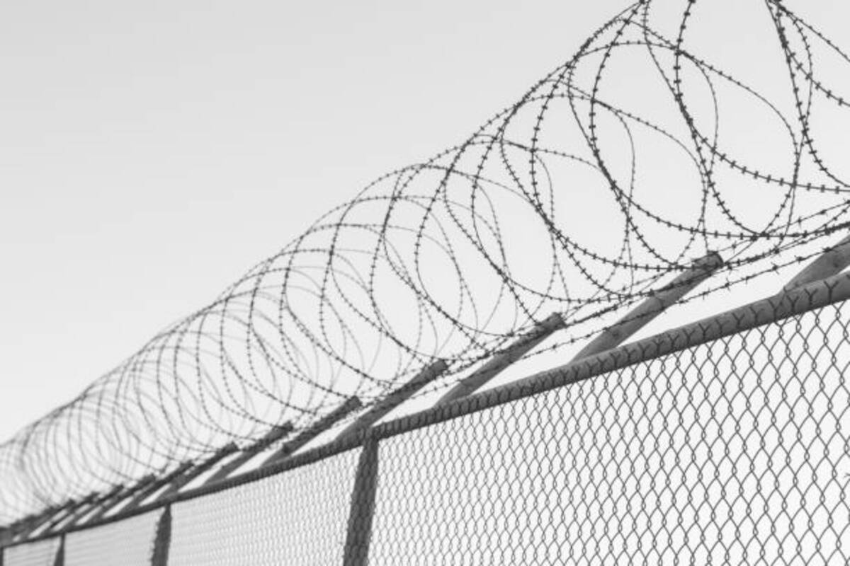 Солдат на папері: депутатка облради отримувала виплати та формувала імідж, не проходячи службу
