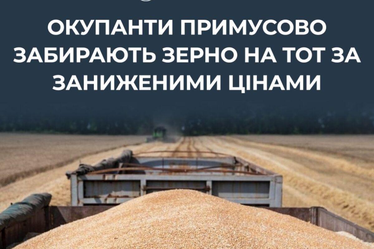Вместо хлеба — обещания: как россияне «покупают» зерно на ТОТ за «шиш с маслом» Вместо хлеба — обещания: как россияне «покупают» зерно на ТОТ за «шиш с маслом»