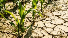 Україна висихає: невтішний прогноз до 2050 року – що буде далі/Фото: istock Україна висихає: невтішний прогноз до 2050 року – що буде далі