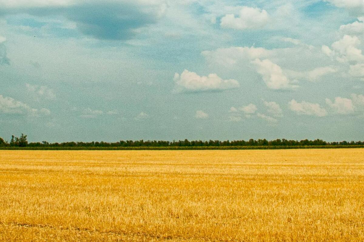 МИД Украины: запрет украинского языка – временная мера, как и сама оккупация / Фото: pexels МИД Украины: запрет украинского языка – временная мера, как и сама оккупация / Фото: pexels