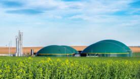 Зелёный прорыв: Украина на пороге подключения к европейской газовой системе UDB/Фото: pexels Зелёный прорыв: Украина на пороге подключения к европейской газовой системе UDB
