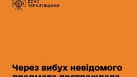 Небезпечна знахідка: на Чернігівщині дитина постраждала від вибуху невідомого предмета Небезпечна знахідка: на Чернігівщині дитина постраждала від вибуху невідомого предмета