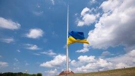 Моніторинг повітря на Київщині підтверджує його бездоганну чистоту Моніторинг повітря на Київщині підтверджує його бездоганну чистоту