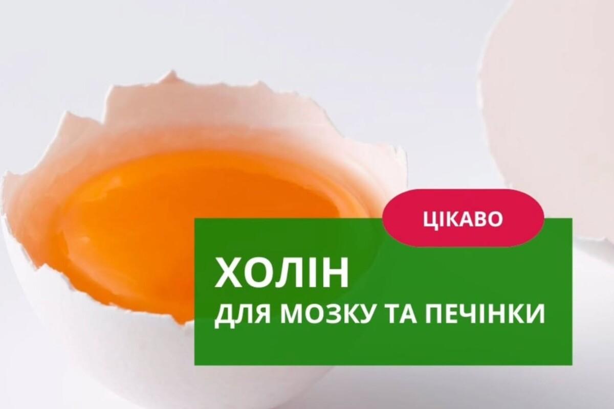 Холин – не просто «витамин», а ключ к блестящей памяти и здоровью, который мы игнорируем Холин – не просто «витамин», а ключ к блестящей памяти и здоровью, который мы игнорируем