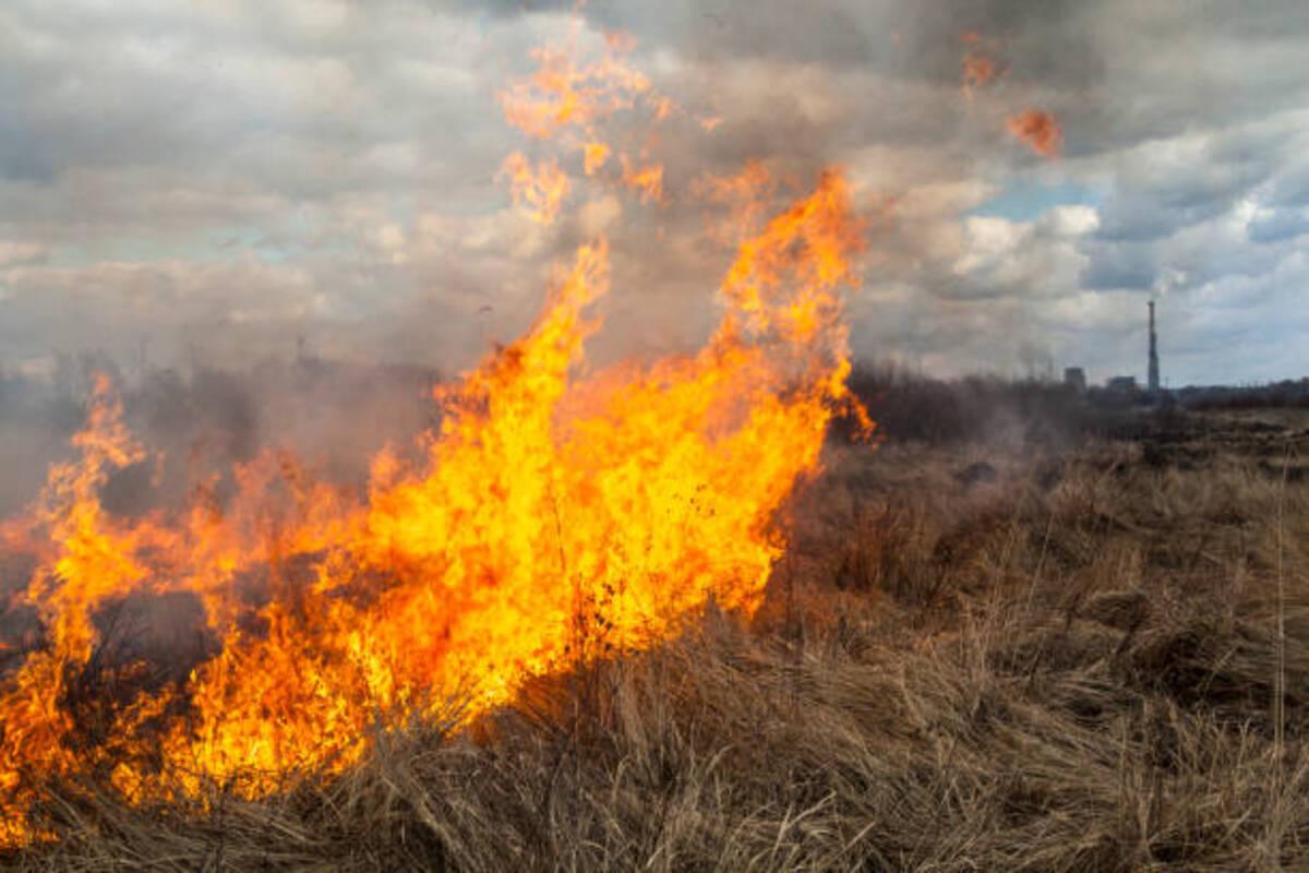Склад боеприпасов в Николаевской области взорвался из-за возгорания травы/Фото: pexels Склад боеприпасов в Николаевской области взорвался из-за возгорания травы