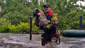Львів іде під воду: Річка Зубра виходить з берегів/Фото: ДСНС Львів іде під воду: Річка Зубра виходить з берегів/Фото: ДСНС