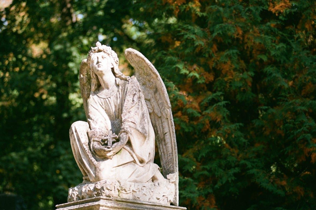 Хто святкує день ангела 11 липня/Фото: Рехеls Привітайте власників цих імен: День ангела 11 липня