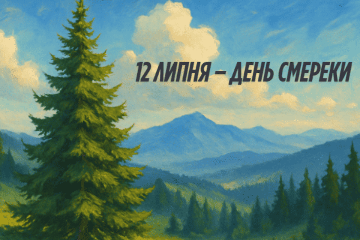 12 липня: День символу Карпат – смереки 