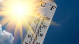 Небезпечна спека: Діденко прогнозує +40°C і закликає до обережності Небезпечна спека: Діденко прогнозує +40°C і закликає до обережності