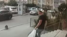 "Это только начало": убийство полковника СБУ связали с неонацистами, прикрываемыми Россия / Фото: СБУ "Это только начало": убийство полковника СБУ связали с неонацистами, прикрываемыми Россия