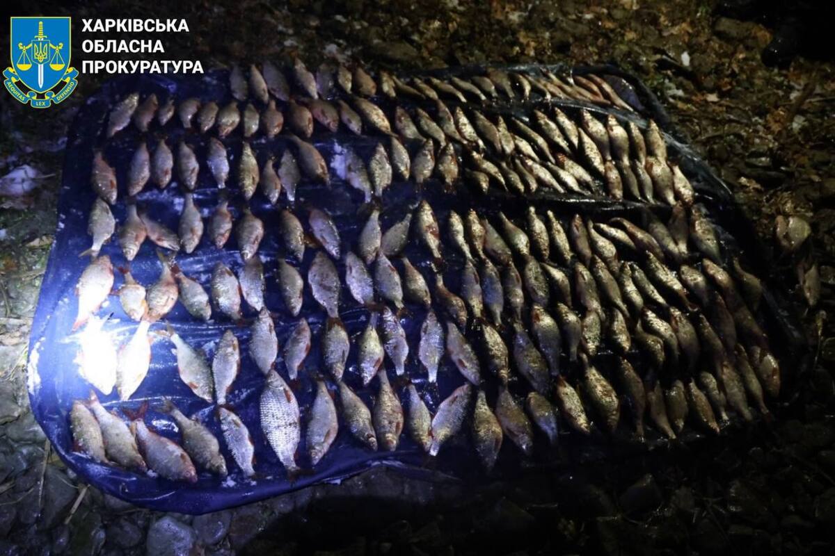На Харківщині чоловік наловив риби на 750 тис і постане перед судом / Фото: Харківська обласна прокуратура На Харківщині чоловік наловив риби на 750 тис і постане перед судом / Фото: Харківська обласна прокуратура