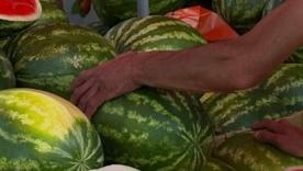 10 простых признаков спелого арбуза, которые легко запомнить / Фото: Pinterest Выбираем лучший арбуз: на что смотреть, щупать и слушать