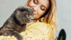 Мягкие лапки для тонких натур: три знака Зодиака, которым кошки подходят больше, чем собаки/Фото: depositphotos.com Мягкие лапки для тонких натур: три знака Зодиака, которым кошки подходят больше, чем собаки