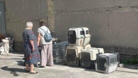 Скандал в Винницкой области: почему местные запретили заселяться эвакуированным бабушкам/Фото: telegram Скандал в Винницкой области: почему местные запретили заселяться эвакуированным бабушкам