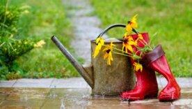 Капли вдохновения: какие знаки Зодиака находят гармонию в летних грозах/Фото: depositphotos Капли вдохновения: какие знаки Зодиака находят гармонию в летних грозах