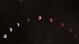 Исцеление, радость и ритм: гороскоп здоровья на 31 июля / Фото: Pixels Исцеление, радость и ритм: гороскоп здоровья на 31 июля / Фото: Pixels