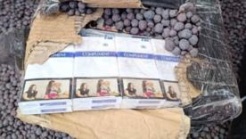 Викрили тютюновий "скарб": На кордоні вилучили 10 тисяч пачок сигарет без акцизу/Фото: Митна служба Півметра руди не сховали: закарпатські митники зупинили масштабну контрабанду сигарет