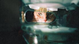 Эти знаки Зодиака самые злопамятные/Фото: Tianlei Wu/Unsplash Эти знаки Зодиака самые злопамятные