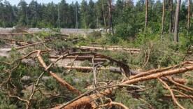 Земля повертається її колишньому власнику — Боярській лісодослідній станції Земля повертається її колишньому власнику — Боярській лісодослідній станції