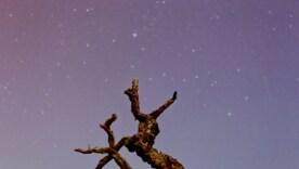 Енергія та рішучість: кроки до здорового дня для всіх знаків зодіаку / Фото: Unsplash Енергія та рішучість: кроки до здорового дня для всіх знаків зодіаку / Фото: Unsplash