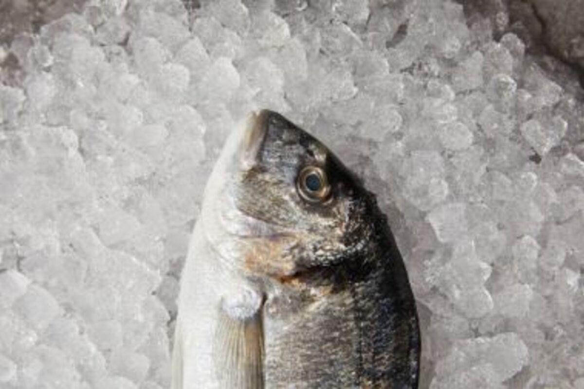 Спекотна загроза для рибних делікатесів: правила зберігання продукції на прилавках/Фото: depositphotos Спекотна загроза для рибних делікатесів: правила зберігання продукції на прилавках