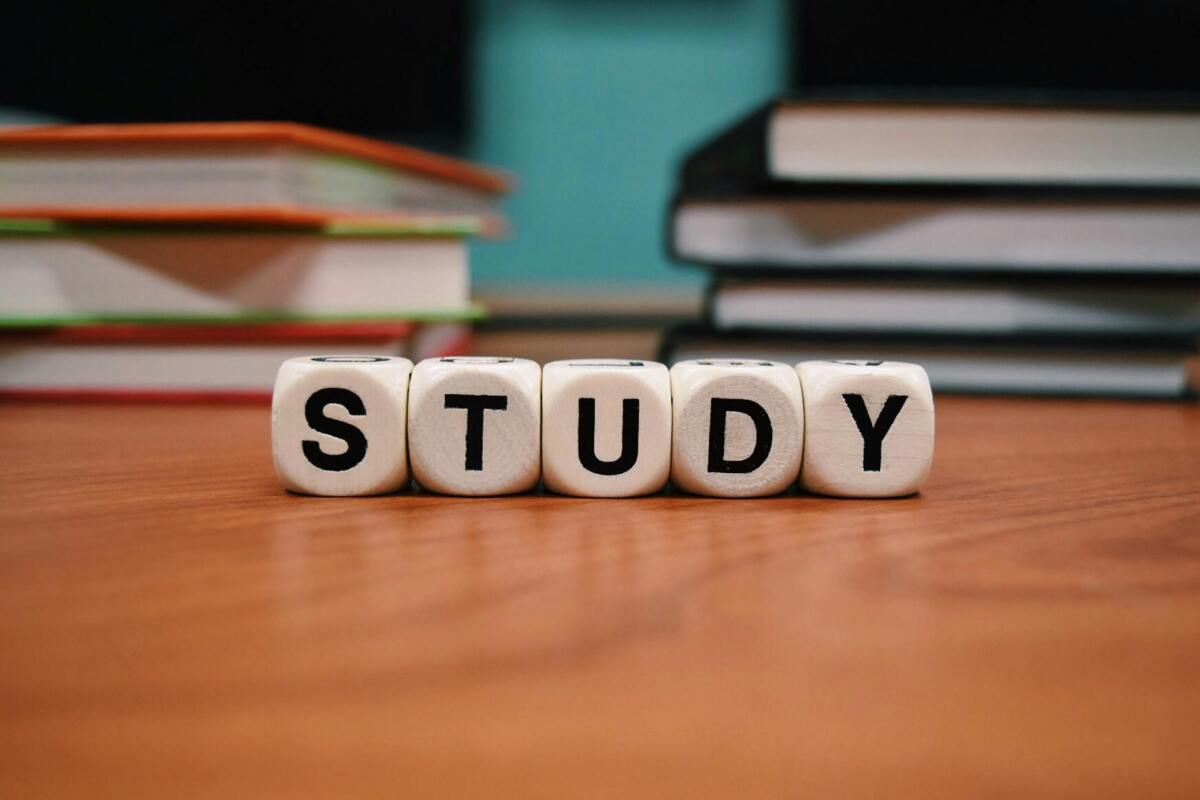 Начать новую жизнь в 45 в Украине – реально: интервью с преподавателем о бесплатном образовании