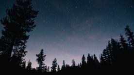 Гороскоп на 12 августа/Фото: Freepik Гороскоп на 12 августа: Львам повезет в финансах, а Рыбам стоит избегать споров