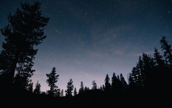 Гороскоп на 12 августа: Львам повезет в финансах, а Рыбам стоит избегать споров