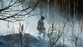 "Азов" стрімко знищує противника: втрати й ситуація на фронті 14 серпня