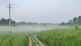 Несподівана зміна погоди: що буде на Київщині після вчорашньої спеки/Фото: istock Несподівана зміна погоди: що буде на Київщині після вчорашньої спеки