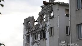 / Фото: Олег Синєгубов / Фото: Олег Синєгубов