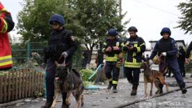 / Фото: Олег Синєгубов / Фото: Олег Синєгубов