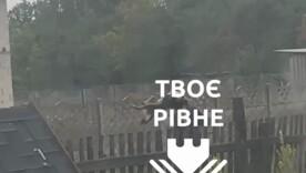 На Рівненщині чоловік вбив тварину вилами, а його родичі погрожують тим, хто виступив проти злочину На Рівненщині чоловік вбив тварину вилами, а його родичі погрожують тим, хто виступив проти злочину