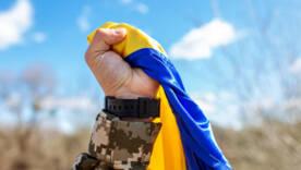 Украина не торгует землей: власть исключает референдумы по оккупированным территориям/Фото: pexels Украина не торгует землей: власть исключает референдумы по оккупированным территориям