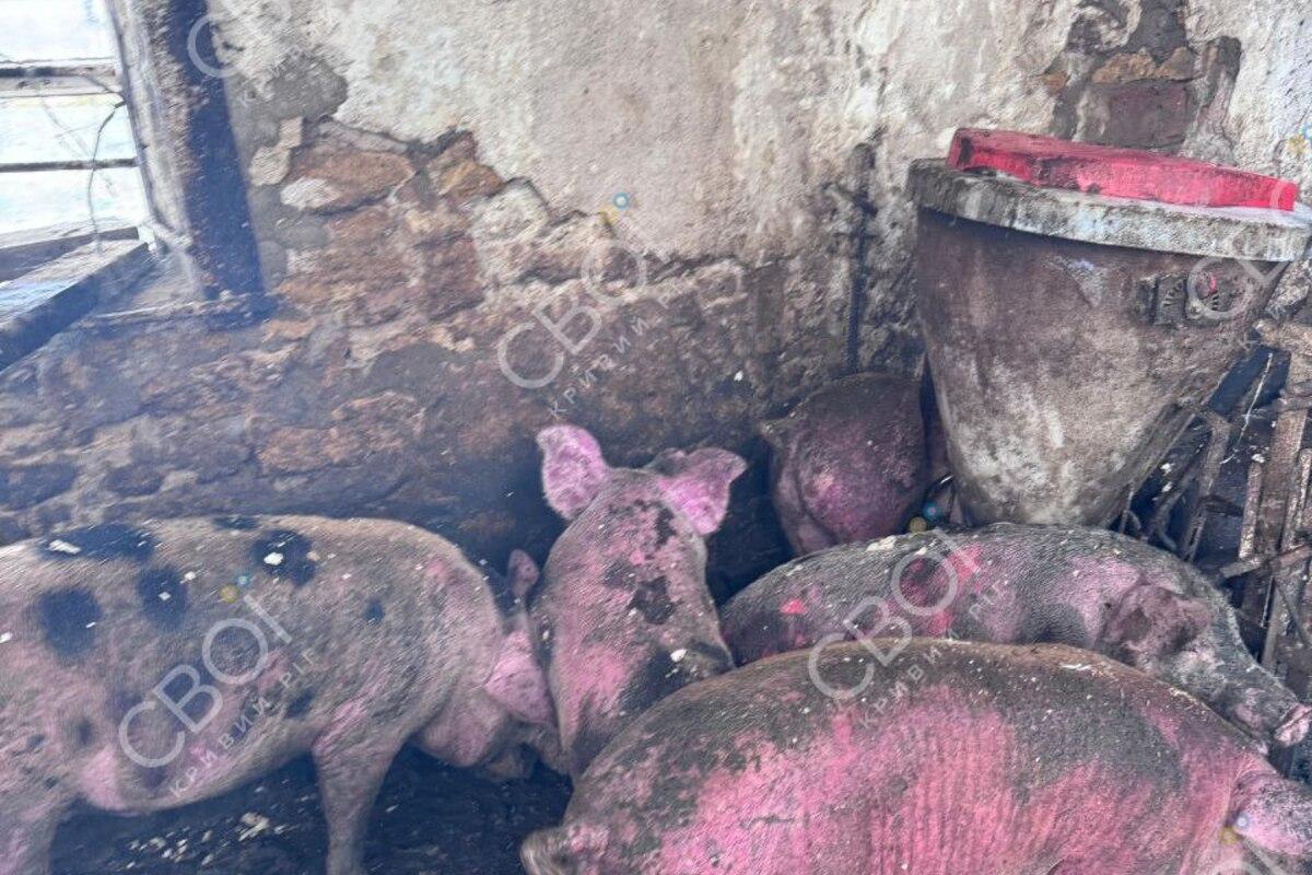 В Криворожском районе застрелили мужчину, который поджег сено и напал на людей В Криворожском районе застрелили мужчину, который поджег сено и напал на людей