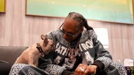 Snoop Dogg отказался водить внуков в кино из-за ЛГБТ-сцены в мультфильме