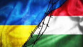 Зеркальная война: Украина ответит Венгрии за запрет на въезд военному/Фото: pexels Зеркальная война: Украина ответит Венгрии за запрет на въезд военному