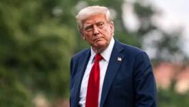 Трамп заблокирует средства для украинского искусства / Фото: gettyimages Трамп заблокирует средства для украинского искусства