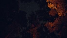 Непригодные дни для важных дел: астрологический прогноз на сентябрь/Фото: Unsplash "Месяц без курса": Эрика Рояллс предупредила о датах, когда ваши старания будут напрасны